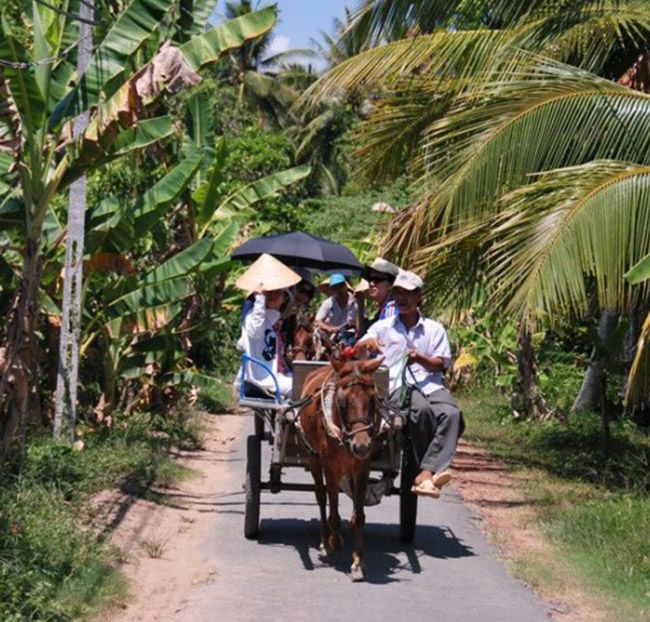 NS-Tour Miền Tây Sông Nước 1 Ngày - Mỹ Tho - Bến Tre