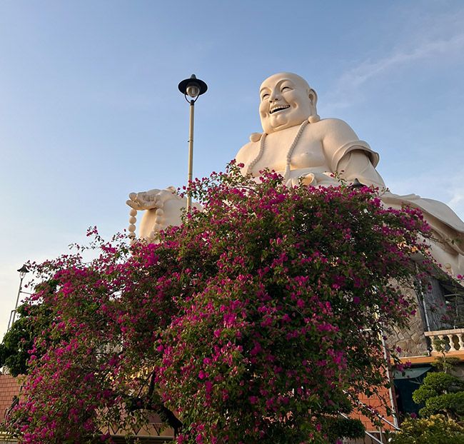NS-Tour Miền Tây Sông Nước 1 Ngày - Mỹ Tho - Bến Tre